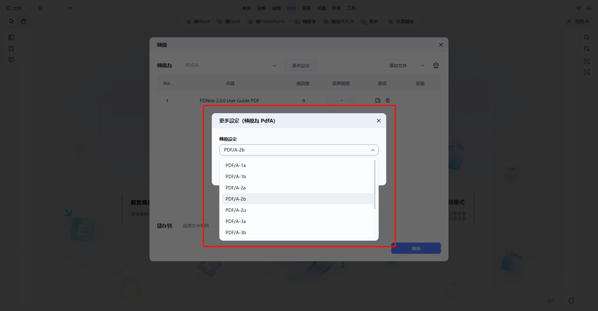 PDF/A 設定