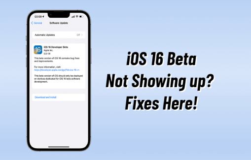 ios 16 beta not showing up