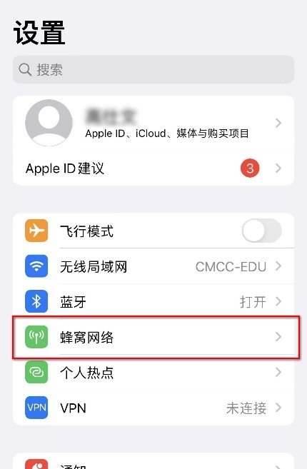 iPhone 蜂窩網路設定