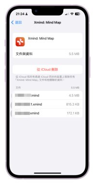 點擊[從icloud刪除]按鈕