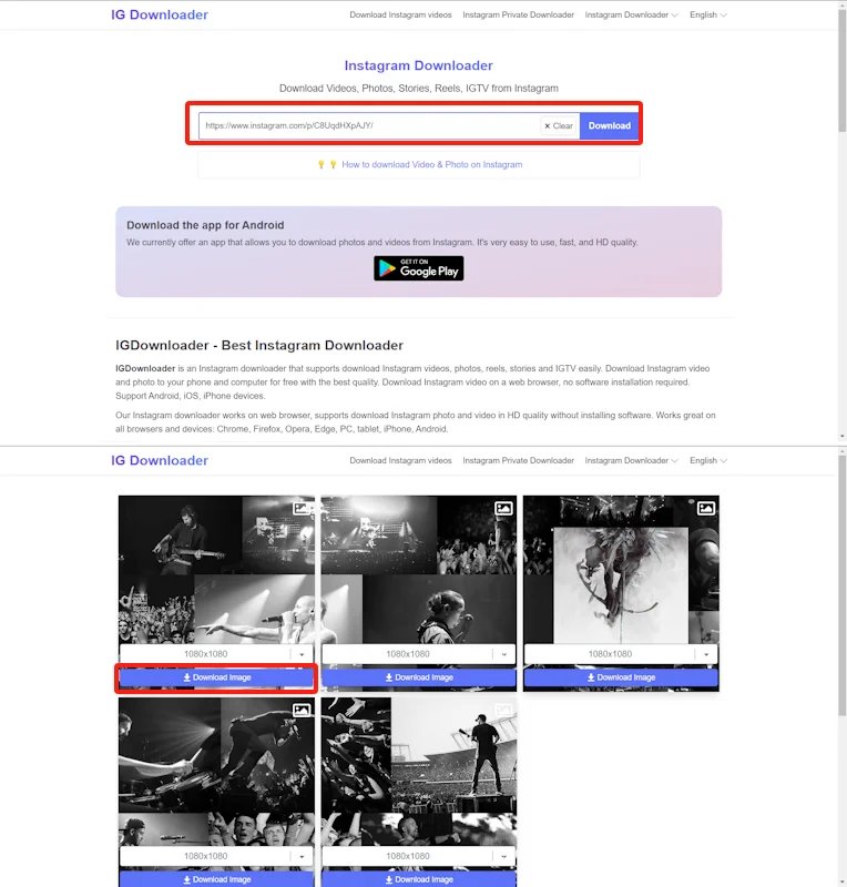 在電腦端igdownloader裡下載ins照片