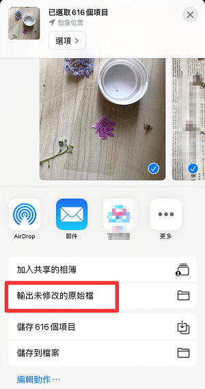 如何免費從共享相簿救回永久刪除的照片