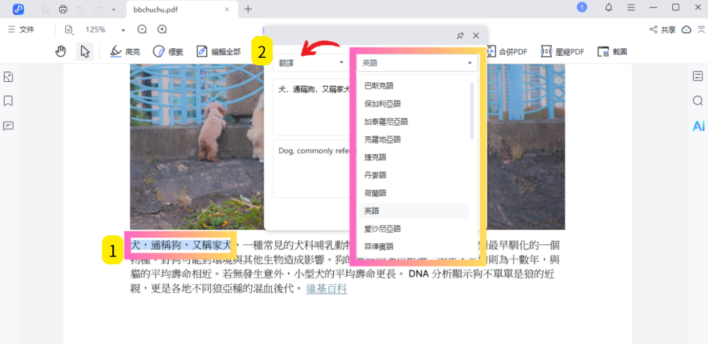 Tenorshare PDNob 使用AI 翻譯功能