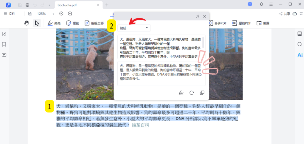 Tenorshare PDNob 使用AI 總結功能
