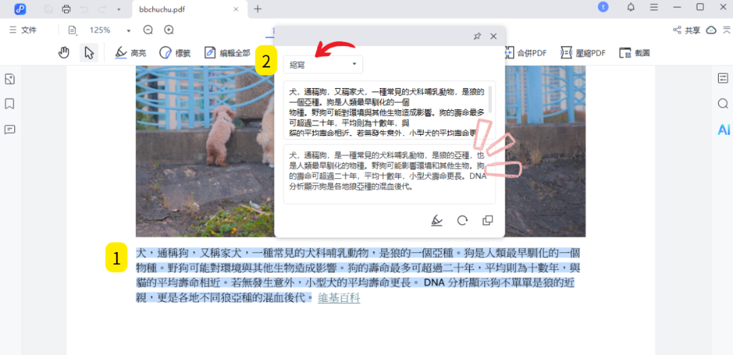 Tenorshare PDNob 使用AI 縮寫功能