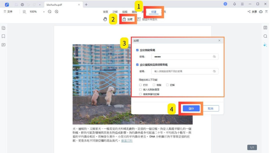 PDNob PDF Editor add password