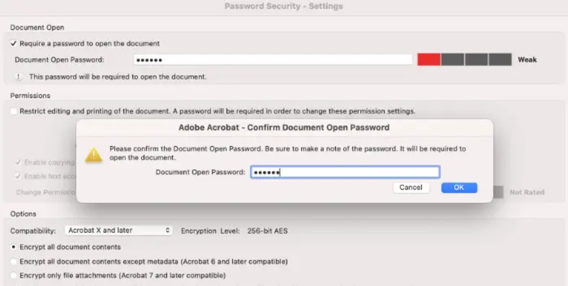輪入文件的密碼後，按確認即可