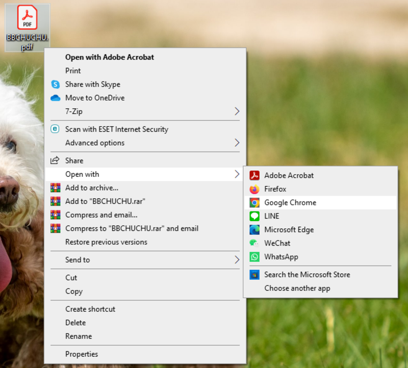 使用瀏覽器開啟 PDF