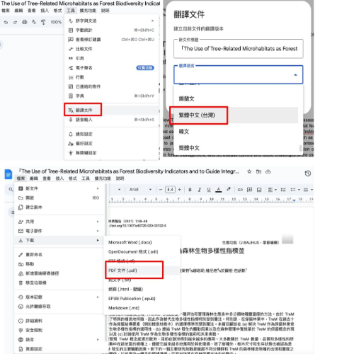 google doc and translated pdf online