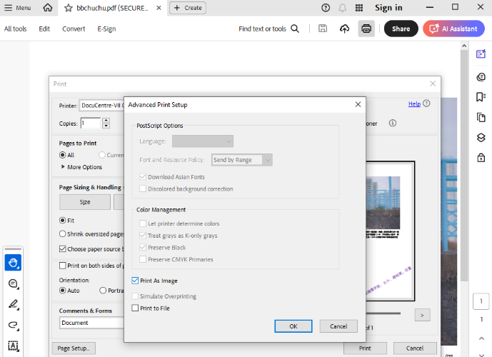 Adobe Acrobat Reader print as image  