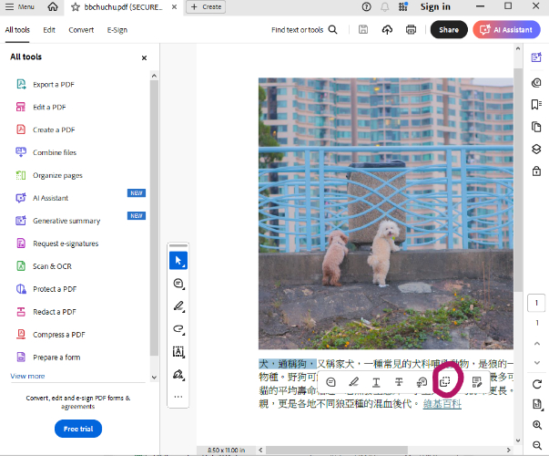  Adobe 閱讀器複製文字
