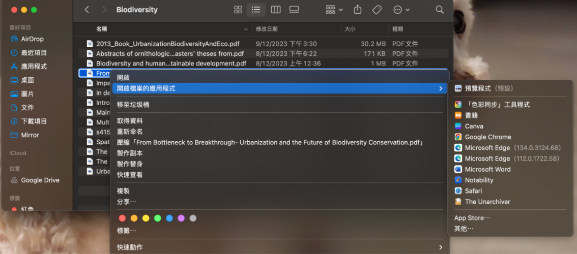 預覽程式複製文字