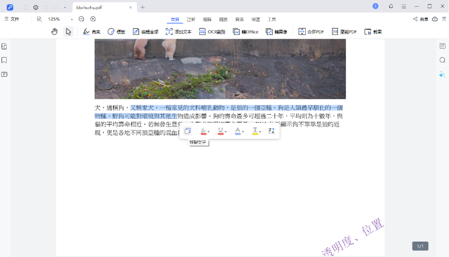  PDNob PDF 編輯器復製文字