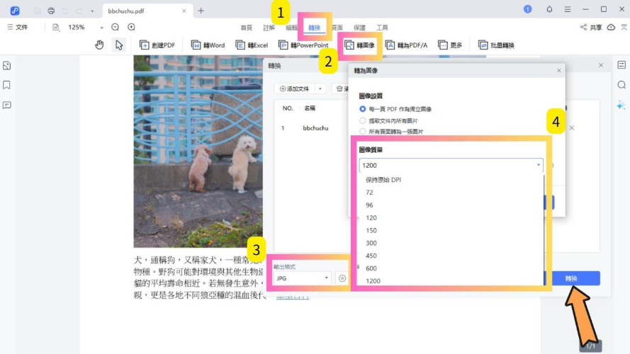 PDNob PDF Editor choose Convert pdf