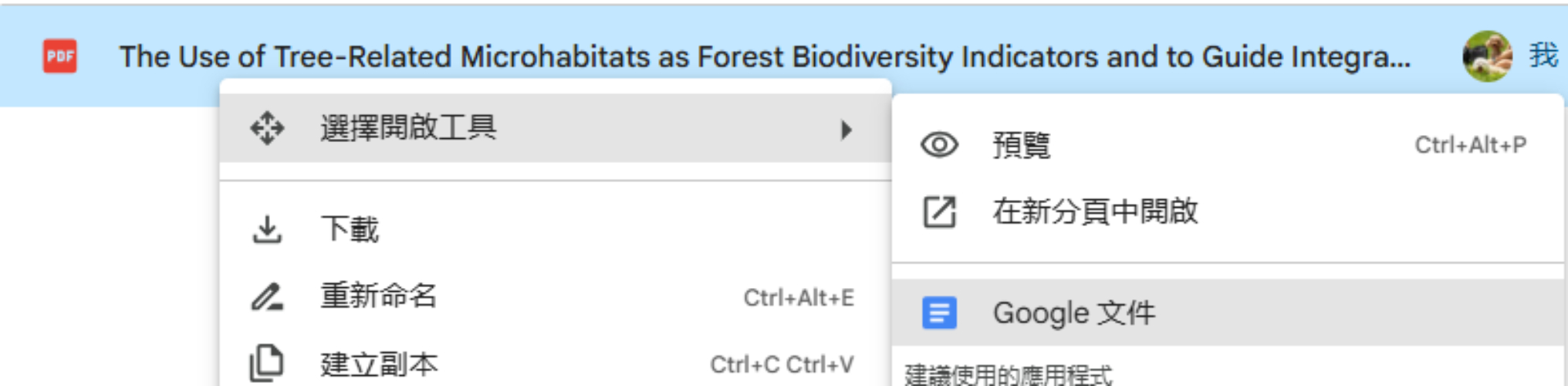 Google 雲端收google文件開啟pdf檔