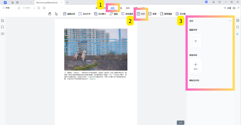 PDNob PDF Editor add watermark