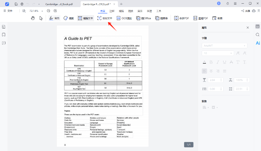 「新增文字」到 PDF