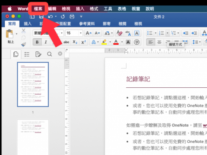 Word 檔案