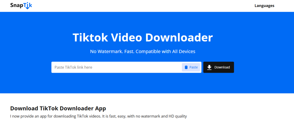 SnapTik TikTok 影片下載