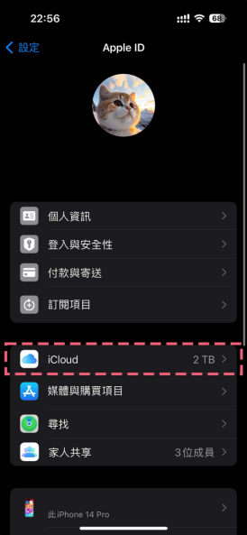 选择 icloud