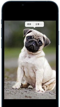 iOS 16 photos cutout