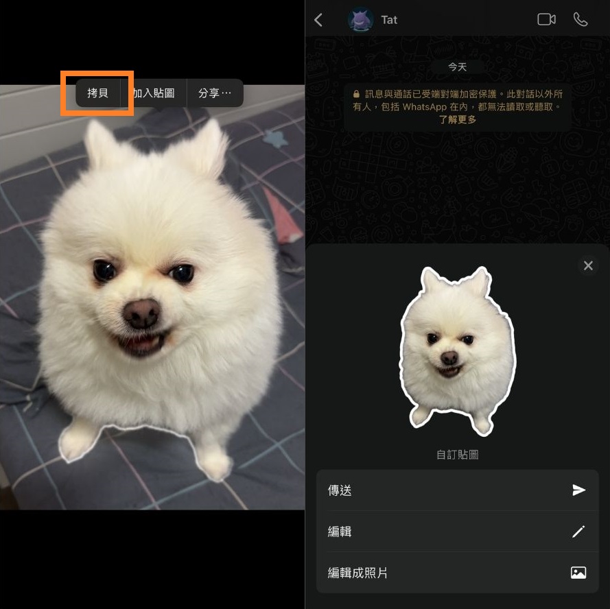 拷貝iphone 去背照片貼上LINE