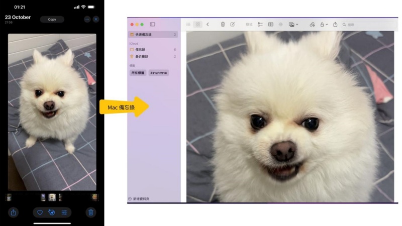 iphone手勢拷貝照片到mac