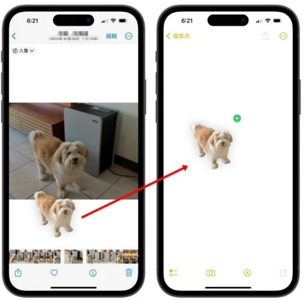 貼上到任何支援圖片的應用程式