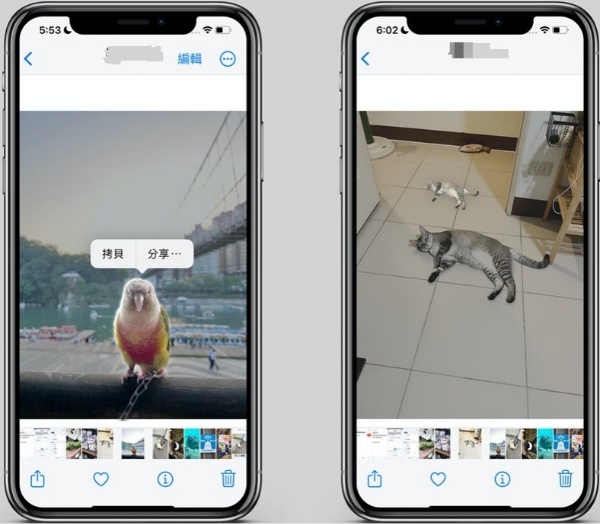 按照iOS照片去背操作
