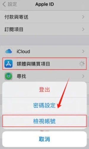 檢視iPhone的付款設定