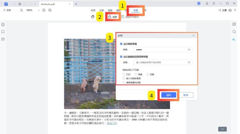 PDNob PDF 加密設定