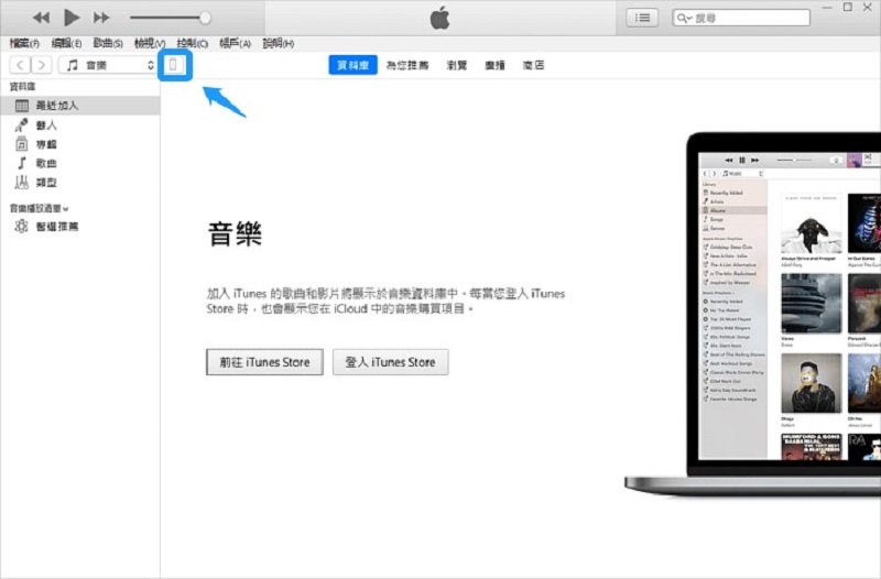 視窗左上角的「iPhone」按鈕