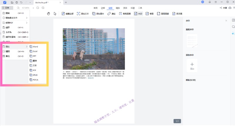 把文件匯出成需要的檔案