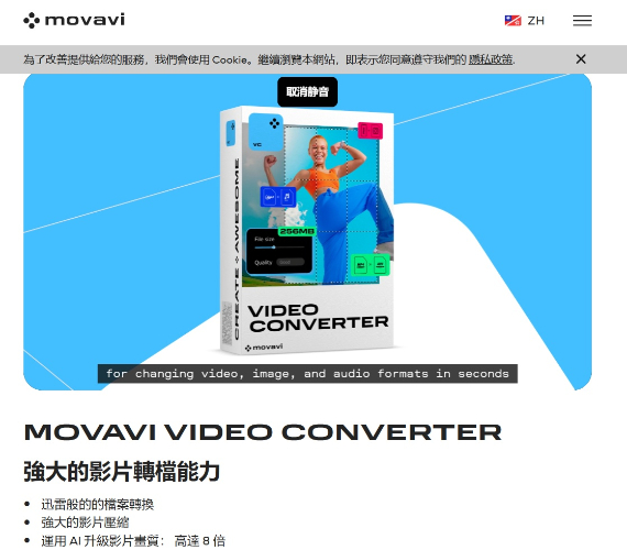 Movavi Video Converter