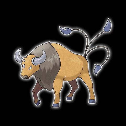 肯泰羅 Pokémon GO