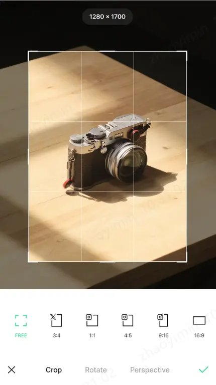 LINE相機文字編輯功能