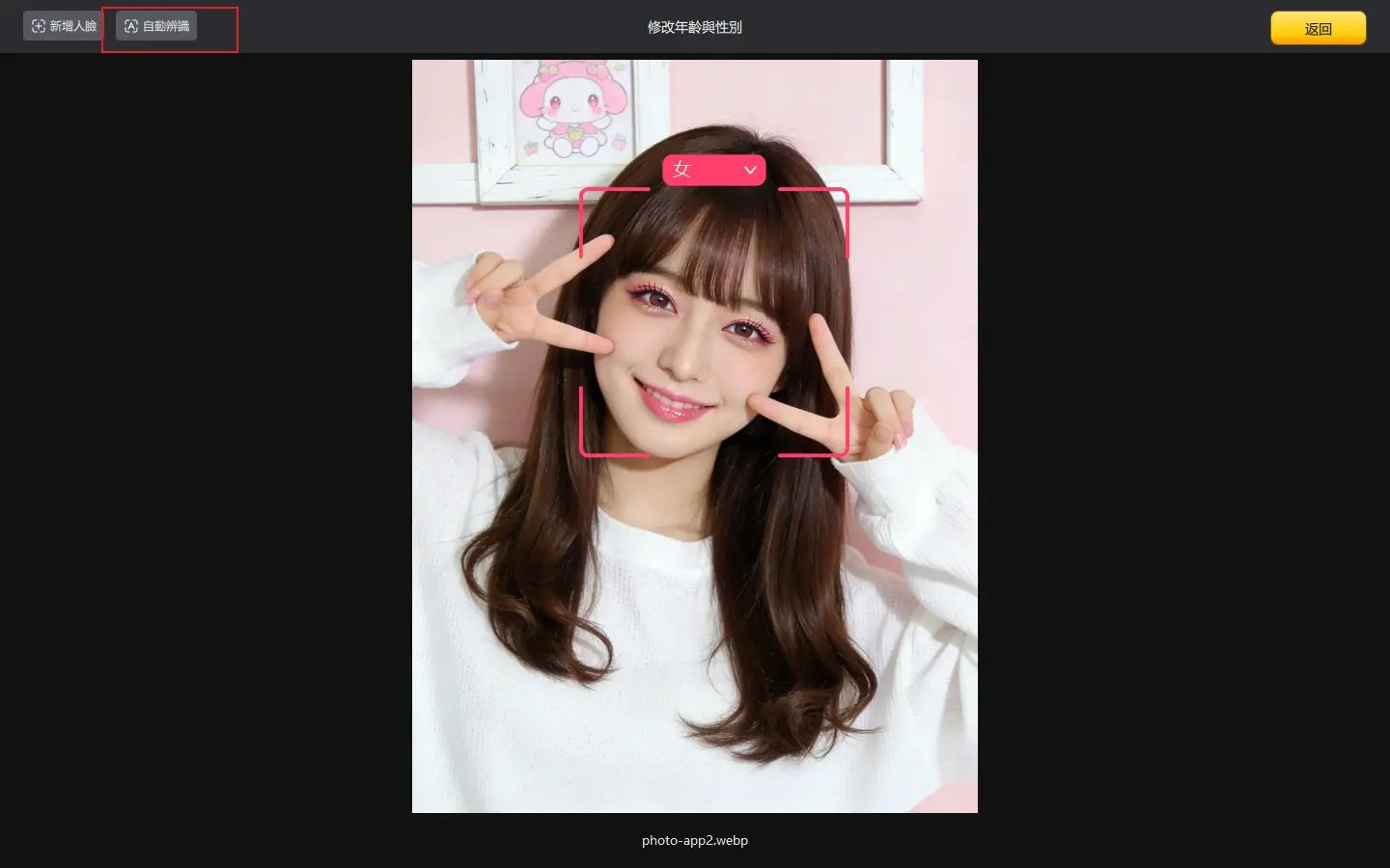 PixPretty AI自動偵測人臉