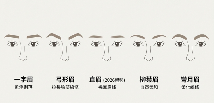 常見眉型種類展示