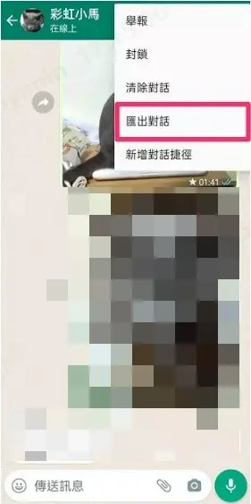 iPhone WhatsApp備份到電腦-電郵