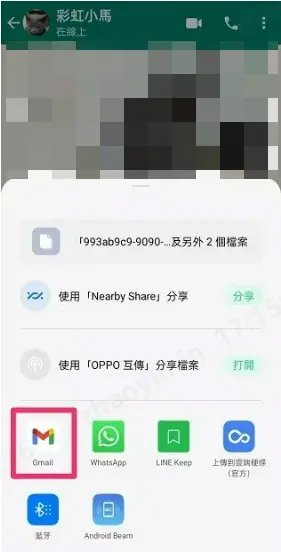 iPhone WhatsApp備份到電腦-電郵2
